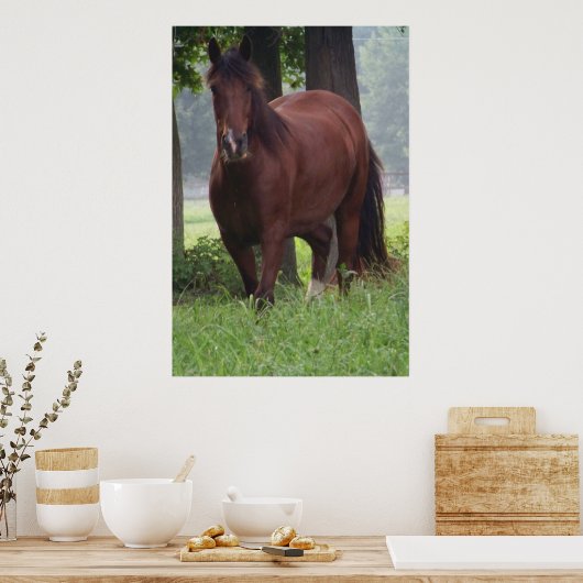 Wild Bay Horse Poster (Keuken)