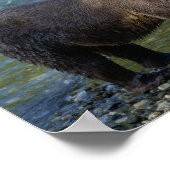 Wild Beer kreeg zijn zalm bij Toba Inlet Poster (Hoek)