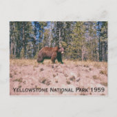 Wild Beer Retro Yellowstone Park 1959 Briefkaart (Voorkant)
