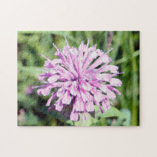 Wild Beramot - (Roze Bee Balm) Legpuzzel
