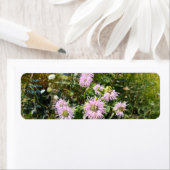 Wild Bergamot Debut Etiket (Insitu)