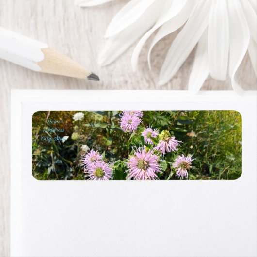 Wild Bergamot Debut Etiket (Insitu)