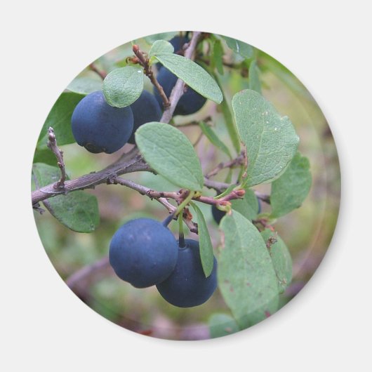 Wild Berries magnet (Voorkant)