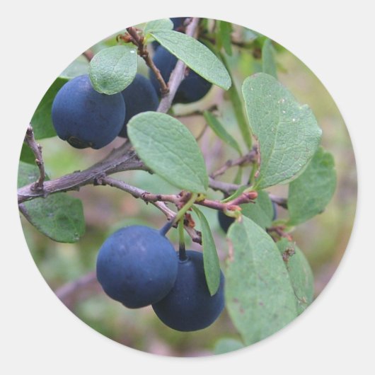 Wild Berries stickers (Voorkant)