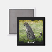 Wild Big Cats Dierenliefhebber Design Magneet (Voorkant / Achterkant)