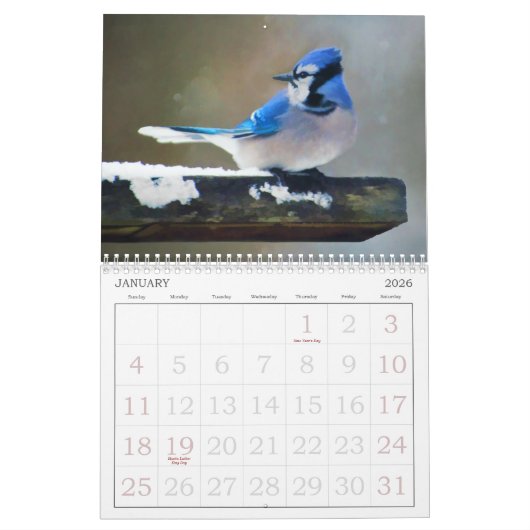 Wild Bird Art Kalender (Jan 2026)