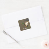 Wild Bird Bookplaten Vierkante Sticker (Envelop)