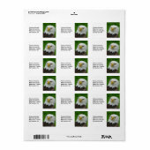 Wild Bird Fotografie - Amerikaanse Kale Adelaar Etiket (Full Sheet)