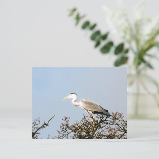 WILD BIRD HERON BRIEFKAART (Staand voorkant)