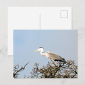 WILD BIRD HERON BRIEFKAART (Voorkant / Achterkant)