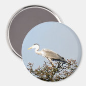 WILD BIRD HERON MAGNEET (Voorkant / Achterkant)