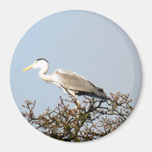 WILD BIRD HERON MAGNEET