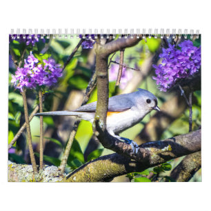 Wild Bird Photo Calendar Kalender