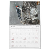 Wild Bird Photo Calendar Kalender (Mar 2027)
