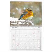 Wild Bird Photo Calendar Kalender (Jan 2027)