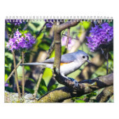 Wild Bird Photo Calendar Kalender (Hoes)