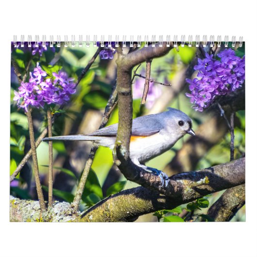 Wild Bird Photo Calendar Kalender (Hoes)