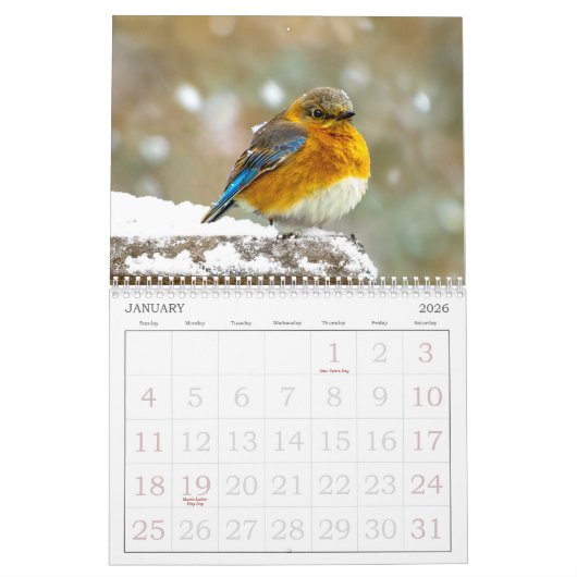 Wild Bird Photo Calendar Kalender (Jan 2026)