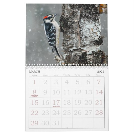 Wild Bird Photo Calendar Kalender (Mar 2026)