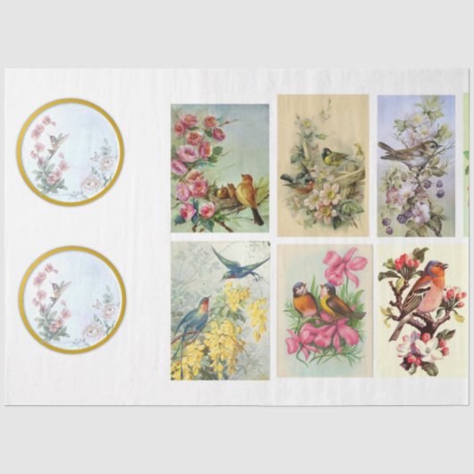 Wild Bird Series Design 2 Tissuepapier (Voorkant)
