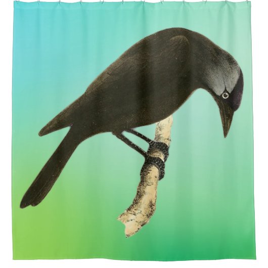 Wild Birds Art - De Raven Douchegordijn (Voorkant)