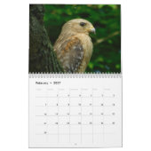 Wild Birds Ohio Calendar Kalender (Feb 2027)