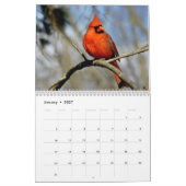 Wild Birds Ohio Calendar Kalender (Jan 2027)