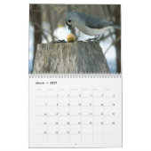 Wild Birds Ohio Calendar Kalender (Mar 2027)