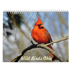 Wild Birds Ohio Calendar Kalender