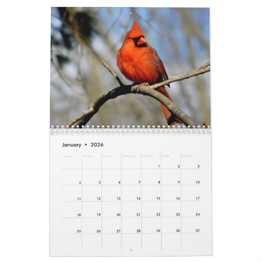 Wild Birds Ohio Calendar Kalender (Jan 2026)