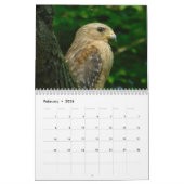 Wild Birds Ohio Calendar Kalender (Feb 2026)