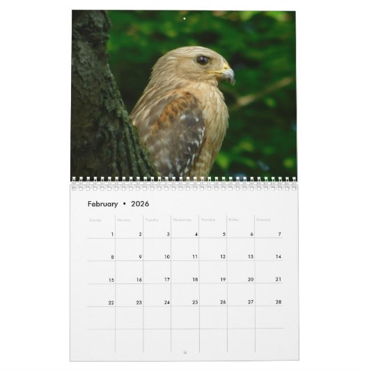 Wild Birds Ohio Calendar Kalender (Feb 2026)