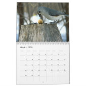 Wild Birds Ohio Calendar Kalender (Mar 2026)