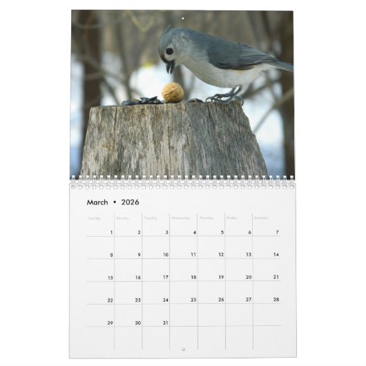 Wild Birds Ohio Calendar Kalender (Mar 2026)