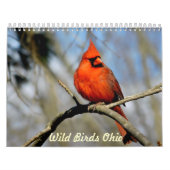 Wild Birds Ohio Calendar Kalender (Hoes)