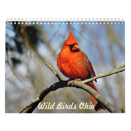 Wild Birds Ohio Calendar Kalender (Hoes)