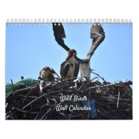 Wild Birds Wall Agenda