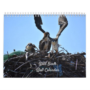 Wild Birds Wall Agenda Kalender