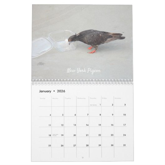 Wild Birds Wall Agenda Kalender (Jan 2026)