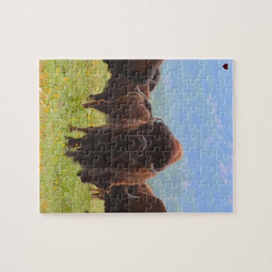 Wild Bison Oklahoma Legpuzzel (Horizontaal)