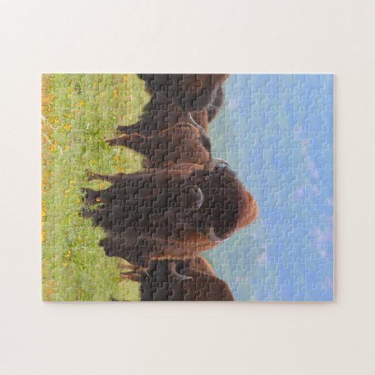 Wild Bison Oklahoma. Legpuzzel (Horizontaal)