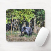 Wild Black Beer Cub & Forest Wildlife Foto #Gift Muismat (Met muis)