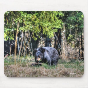 Wild Black Beer Cub & Forest Wildlife Foto #Gift Muismat