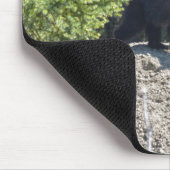 Wild Black Beer Cub & Mud Hill Wildlife Foto Gift Muismat (Hoek)