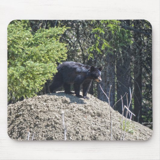 Wild Black Beer Cub & Mud Hill Wildlife Foto Gift Muismat (Voorkant)