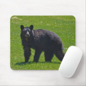 Wild Black Beer en Grass Wildlife Foto Muismat (Met muis)