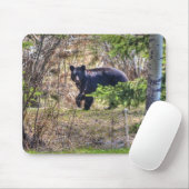 Wild Black Beer en Trees Wildlife Foto Muismat (Met muis)