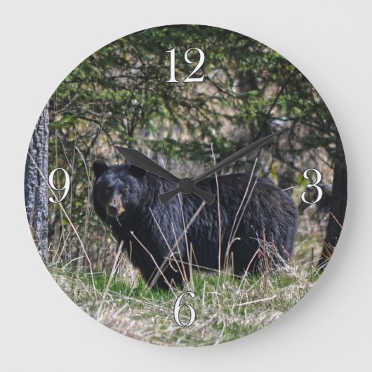 Wild Black Beer & Forest Wildlife Photo Wall Clock Grote Klok (Voorkant)