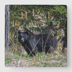 Wild Black Beer & Forest Wildlife Photo Wall Clock Vierkante Klok