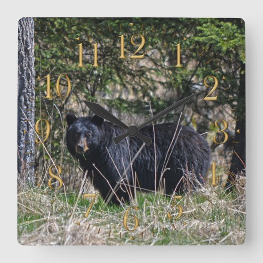 Wild Black Beer & Forest Wildlife Photo Wall Clock Vierkante Klok (Voorkant)